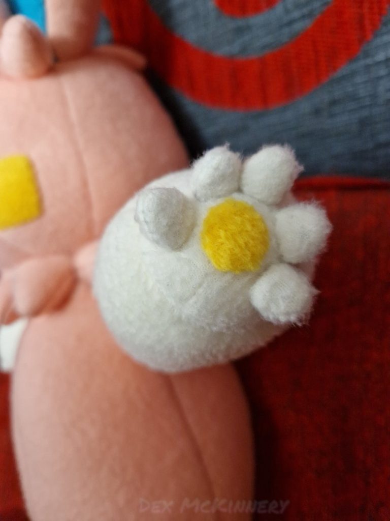 Paw detail